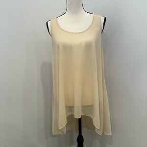 Sheer Cream Long Blouse